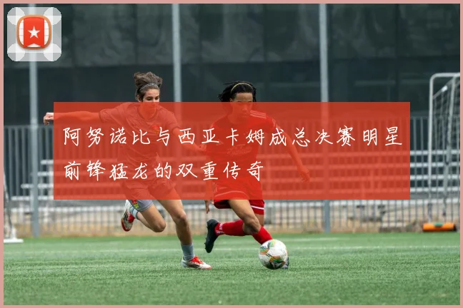 阿努诺比与西亚卡姆成总决赛明星前锋猛龙的双重传奇