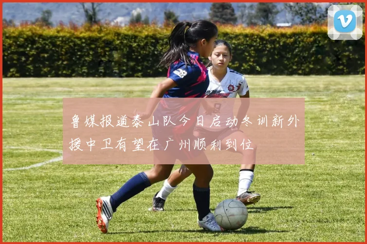 鲁媒报道泰山队今日启动冬训新外援中卫有望在广州顺利到位